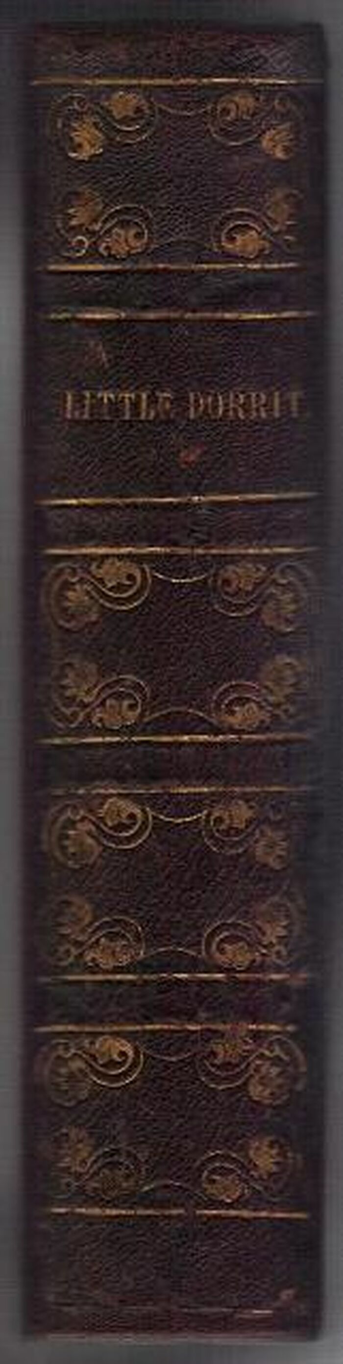 Little Dorritt Image