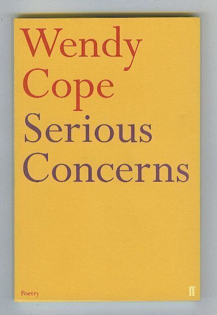 Serious Concerns Image