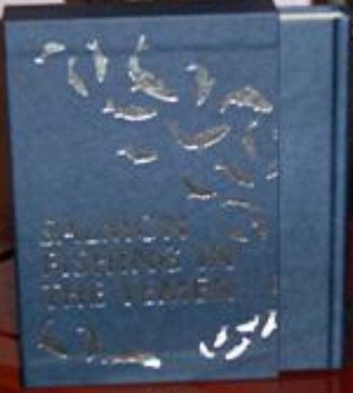 Salmon Fishing in the Yemen Image