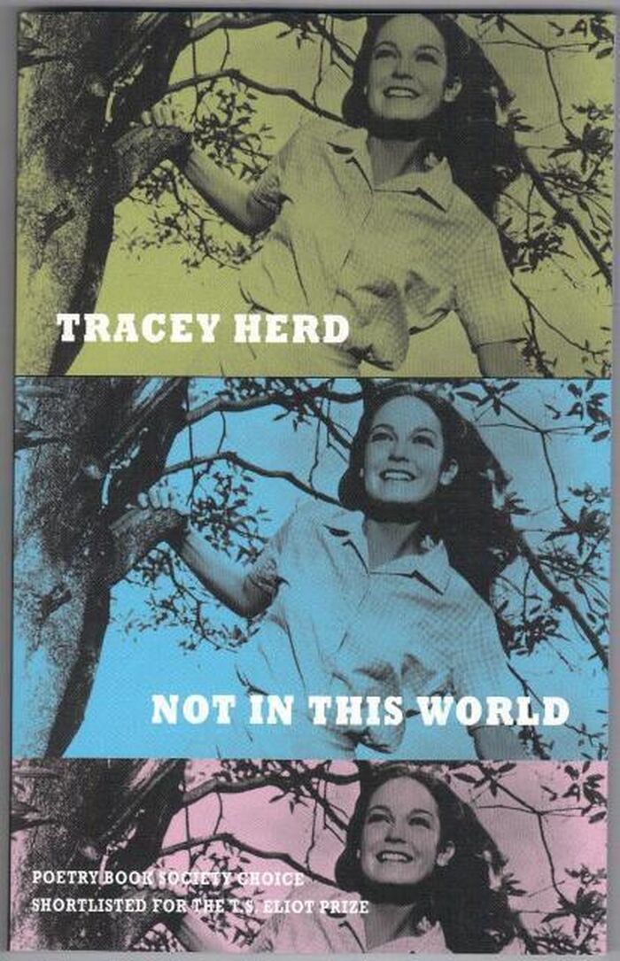 Not in This World Image