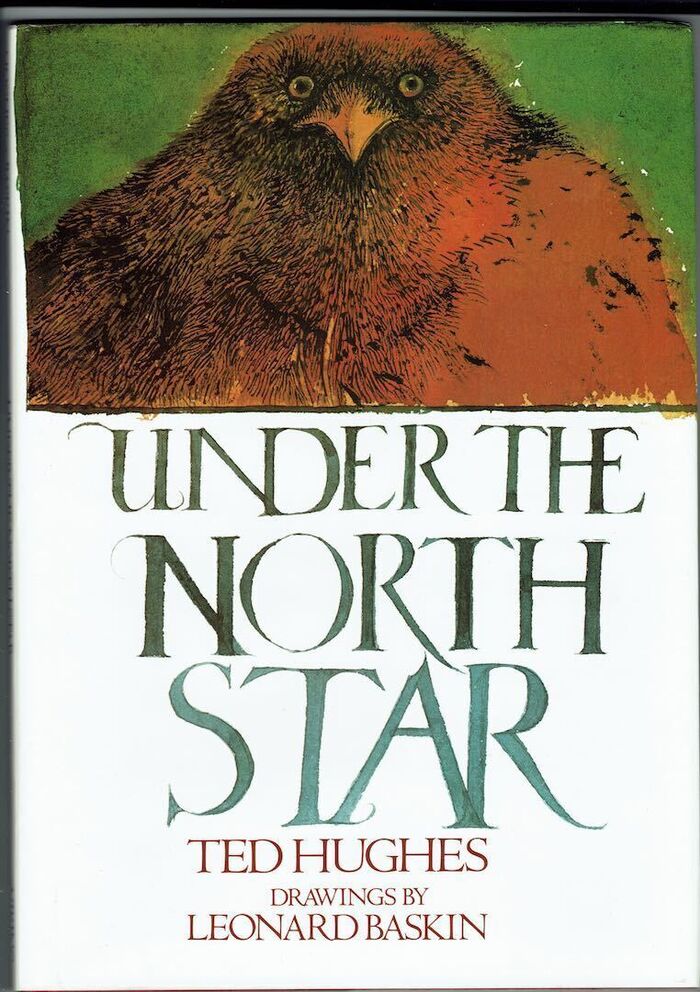 Under the North Star Image