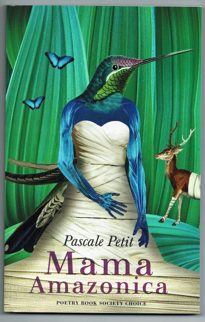 Mama Amazonica Image