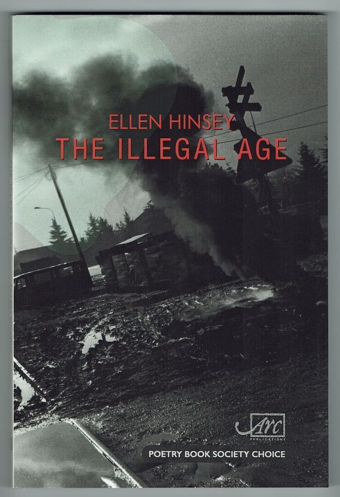 The Illegal Age Image