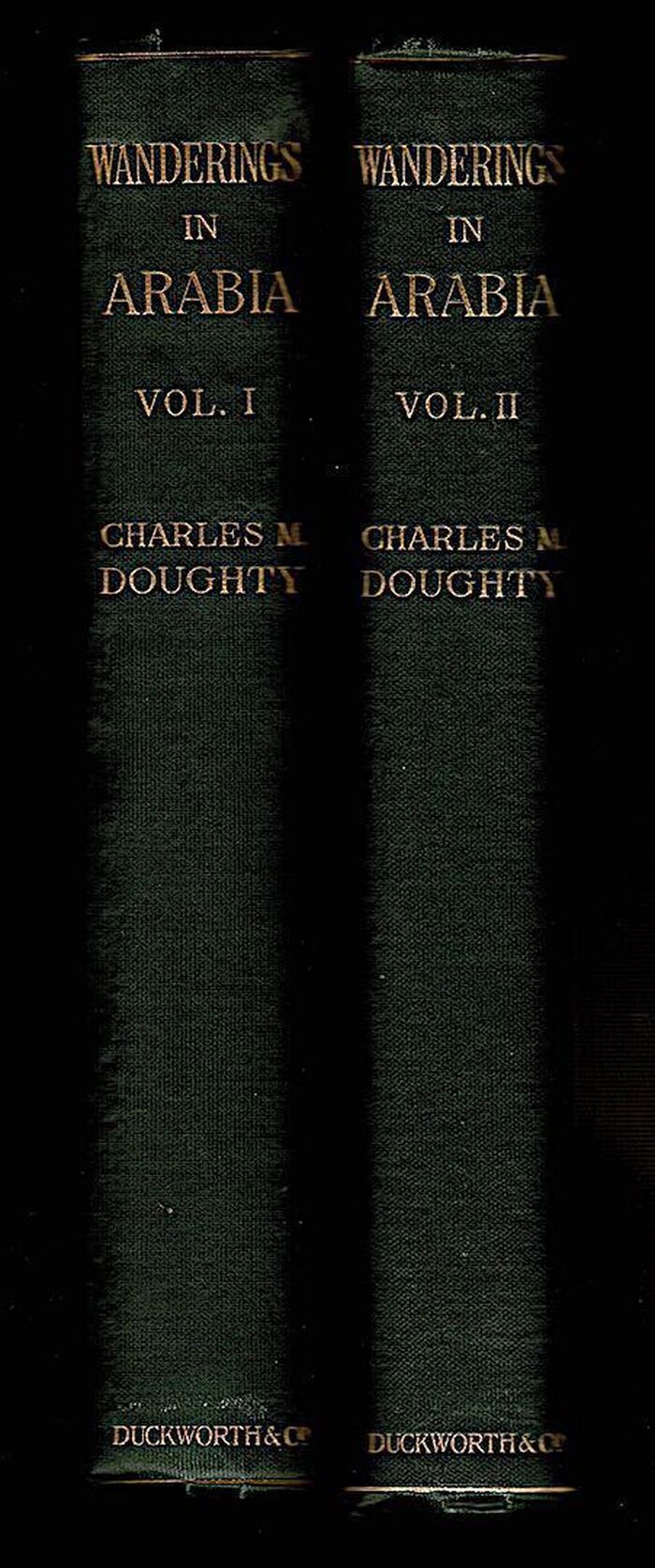 Wanderings in Arabia. Image