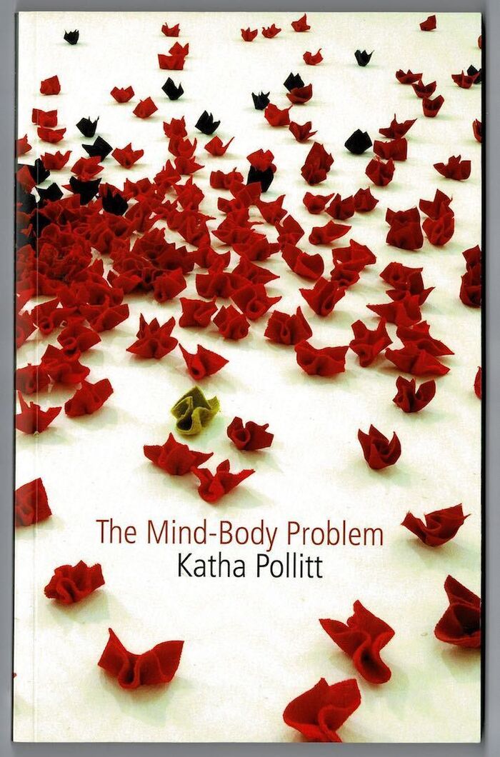 The Mind-Body Problem Image