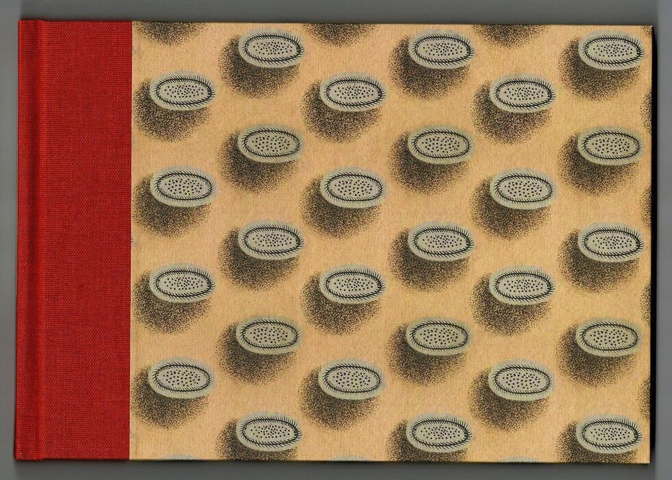 While Daddy's Away at the War. Image