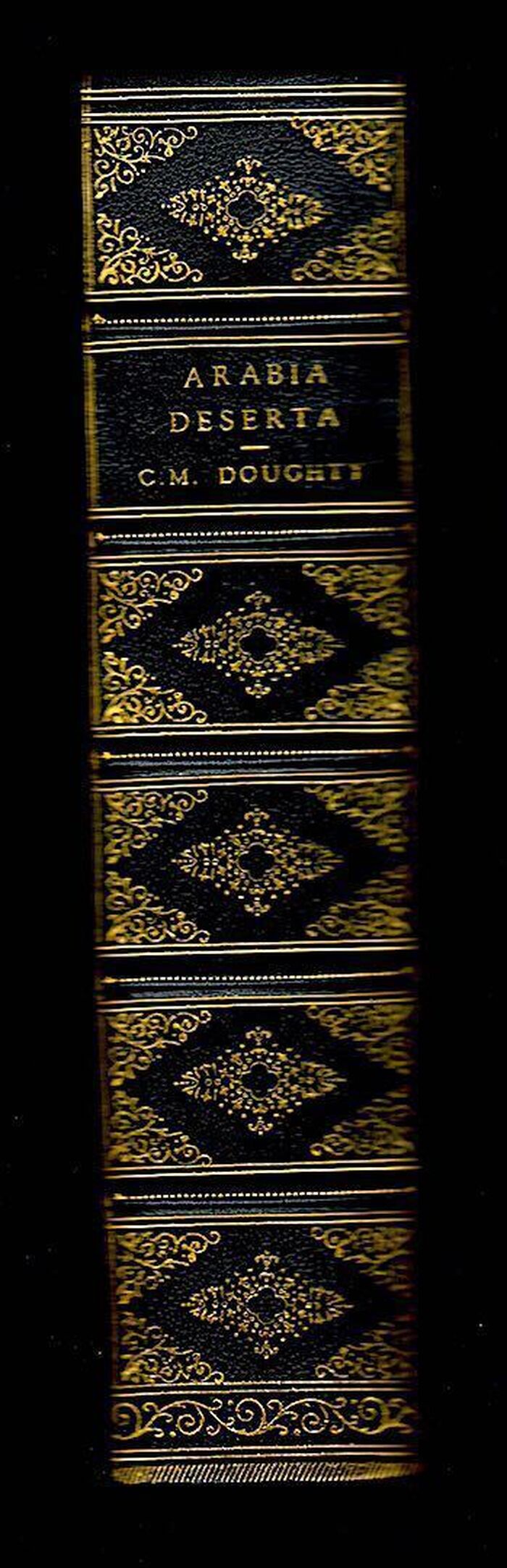 Travels in Arabia Deserta Image