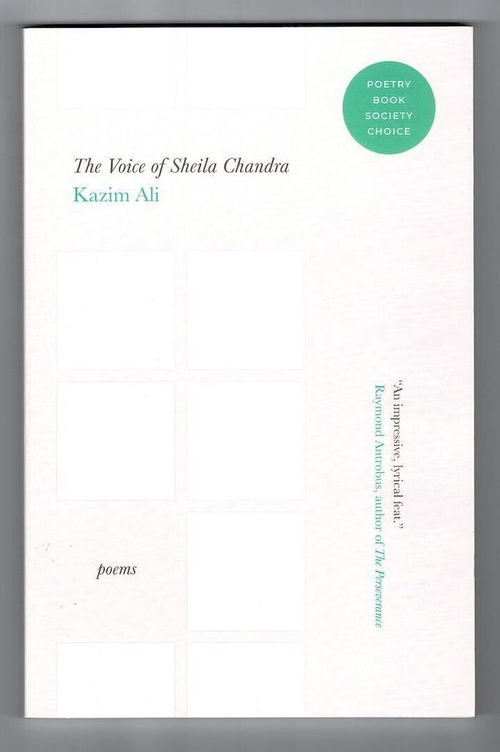 The Voice of Sheila Chandra Image