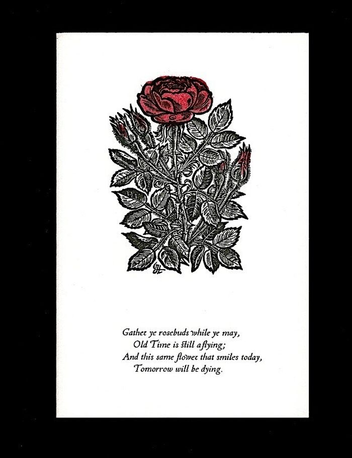 'Gather ye rosebuds while ye may...' Image