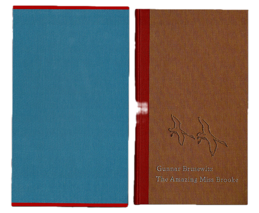 The Amazing Miss Brooke and other essays. Image