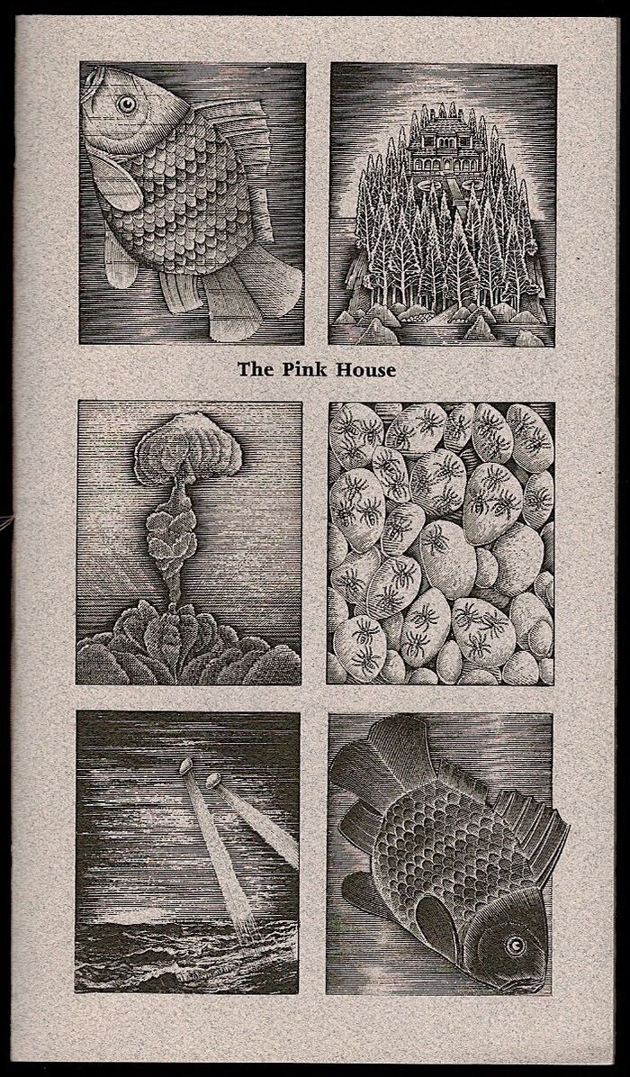 The Pink House. Image