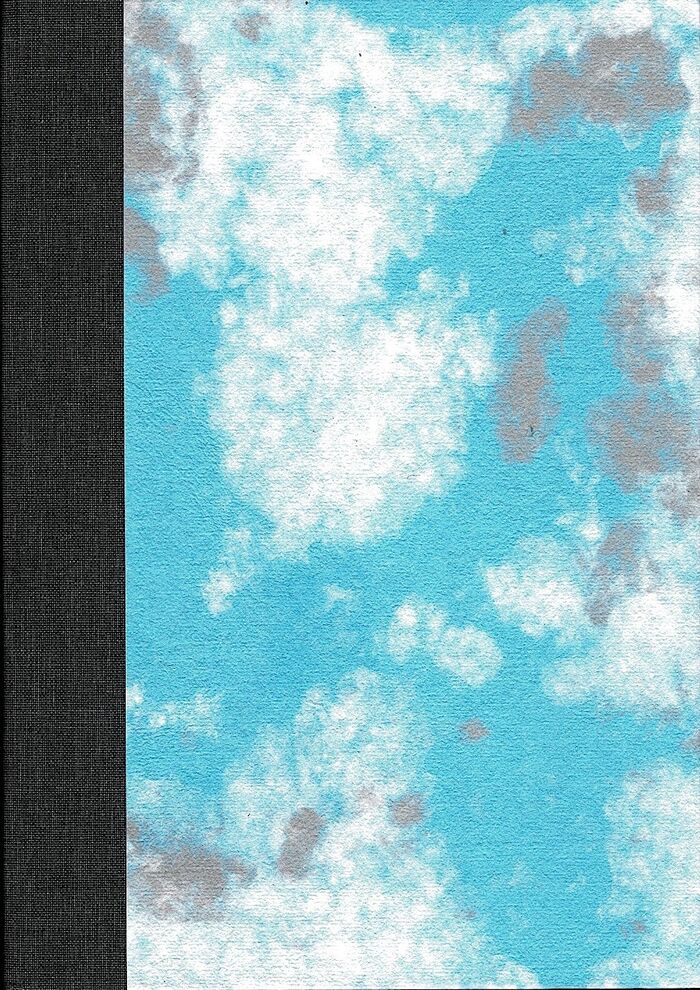 Palladio's Homes. With a Foreword by Martyn Ould and an Afterword by Witold Rybczynski, Professor of Urbanism, University of Pennsylvania. Image