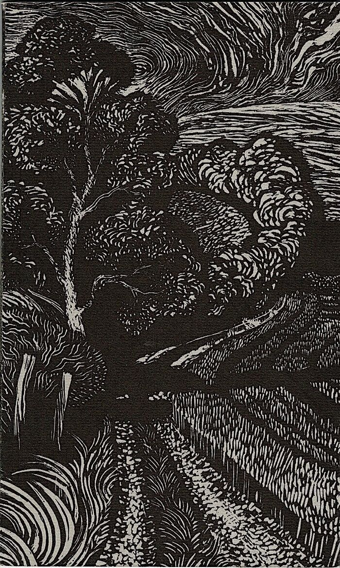 A Handful of Hares. Celebrating the Mystery & Fascination of Hares. With wood engravings by Anne Cathcart. Image