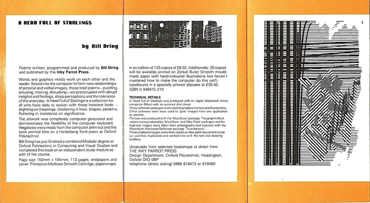 A Head Full of Starlings. Image