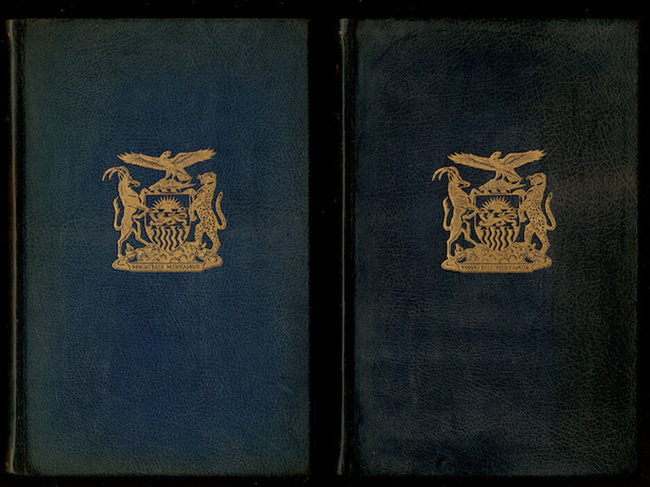 The Zambezi Expedition of David Livingstone 1858-1863. Central African Archives, Oppenheimer Series 9. Image