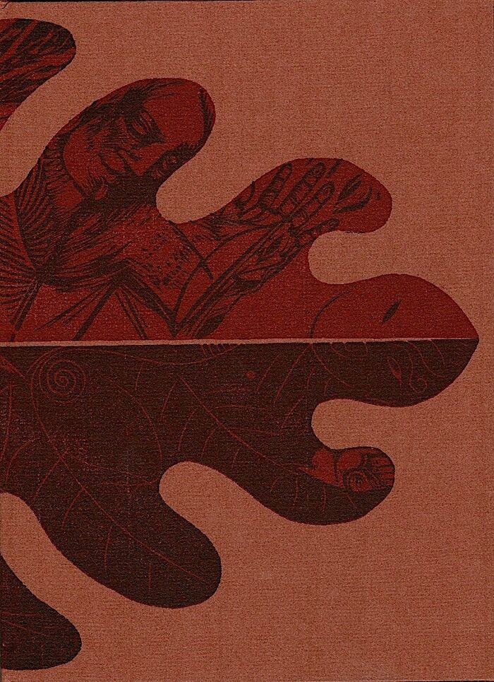 Lens of Crystal. Image