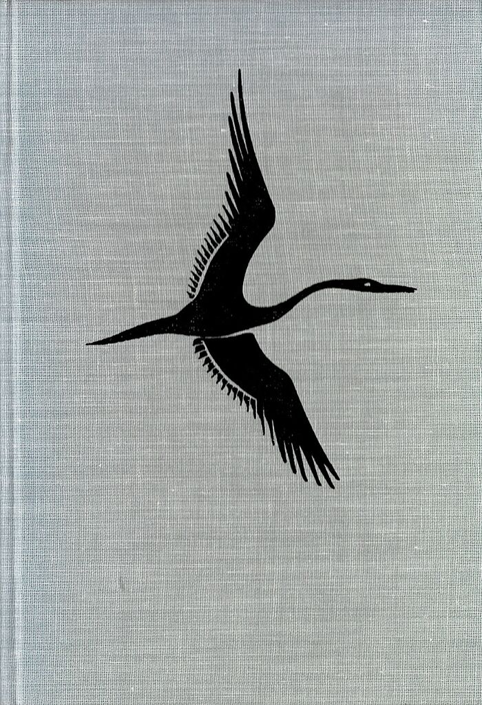 Alphabet Aviary. Image