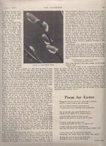 The Listener Additional Image