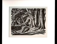 The Wood Engravings of Ethelbert White. Additional Image