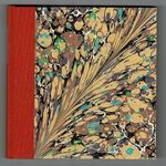 The Last Autobiographical Notes of Thomas Bewick, recording his journey with his daughters to London & Buxton Spa in 1828 transcribed from the unpublished manuscript with a commentary by Iain Bain.