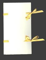 Sunspots. Additional Image