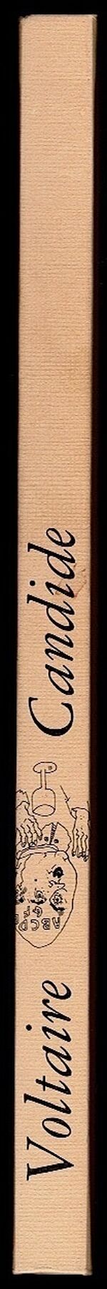 Candide or Optimism. Additional Image