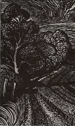 A Handful of Hares. Celebrating the Mystery & Fascination of Hares. With wood engravings by Anne Cathcart.