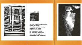 A Head Full of Starlings. Additional Image