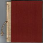 The Beautiful Plump Little Boy. Additional Image