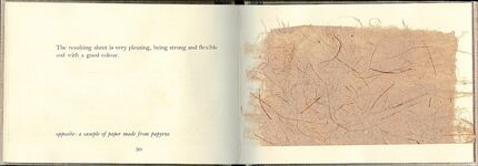 Isis Papyrus. Additional Image