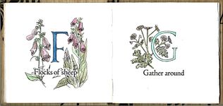 A Crown of Flowers Alphabet Additional Image