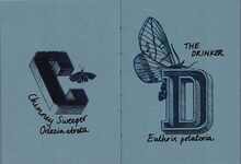 ABCDEDARIUM. An A—Z of British Moths Additional Image