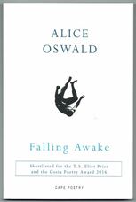 Falling Awake