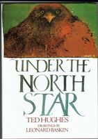 Under the North Star