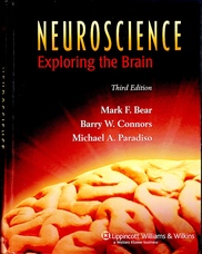 Bear, Mark F., Connors, Barry W., Paradiso, Michael A.